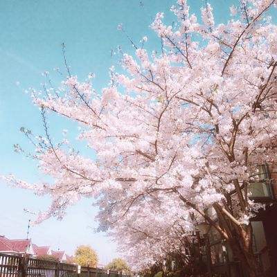 特写：“总要来一次草原”——两岸青年学子感受内蒙古魅力风采