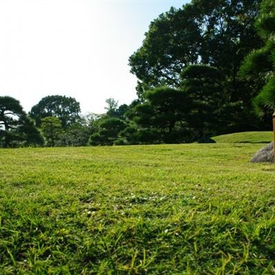 视频证监会：资本市场强监管、防风险取得一些初步成效