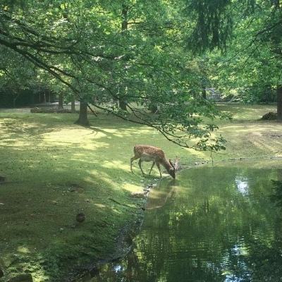 陕西神木李家沟煤矿“1·12”重大事故 已确认19人遇难 仍有2人搜救中