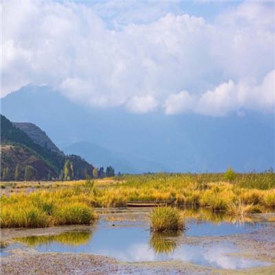 高质量发展调研行丨红岩小屋助力社区党建“生根发芽”—走进重庆美丽阳光家园公租房小区