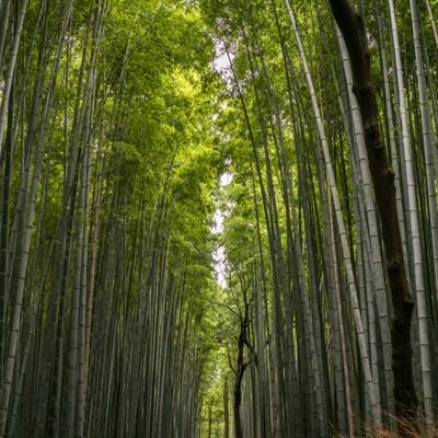 遇见中国丨巴基斯坦“洋辅导员”马思浩：愿为中巴友谊贡献自己的力量